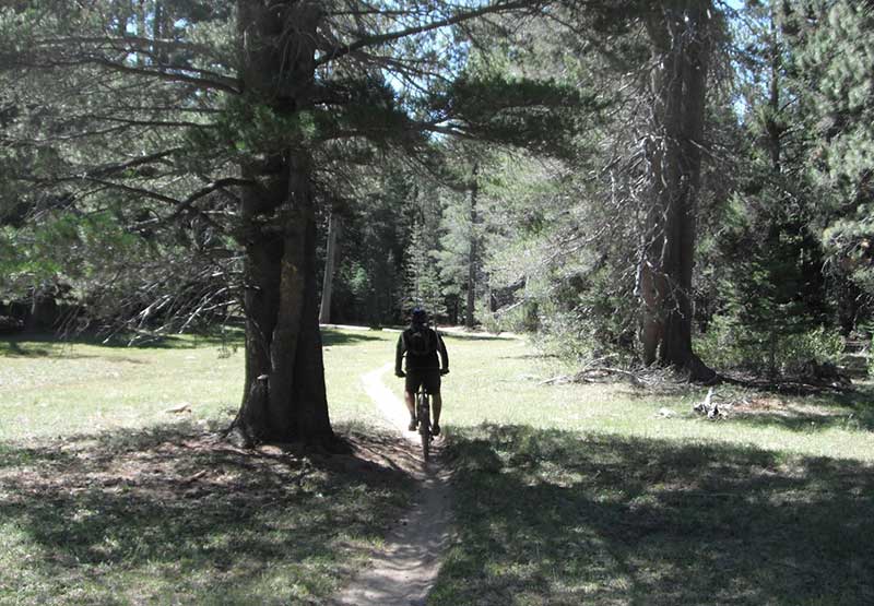 Cannell Trail width=